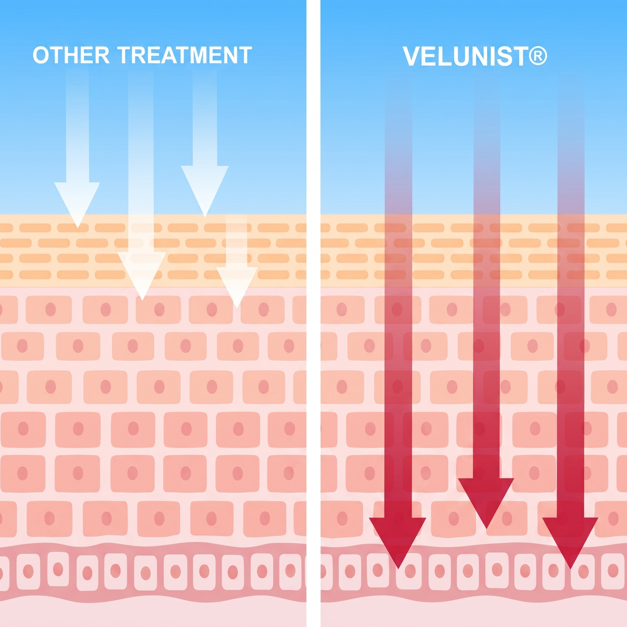 Velunist Skin Balance